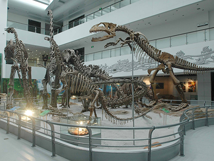 恐龙骨架